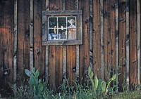 IMG_4867_Shed_Window