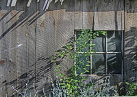 IMG_4672_Late_Sun_on_Shed