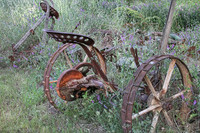 IMG_4705_Old_Farm_Equipment_out_to_Pasture