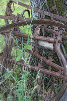 IMG_4707_Old_Farm_Equipment_out_to_Pasture_2