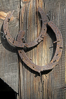 IMG_4765_Horse_Shoes_on_Siding