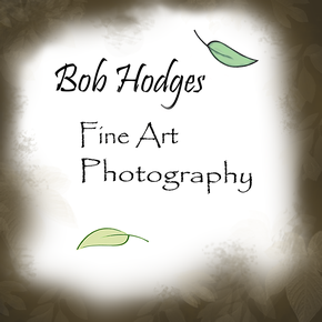 Bob Hodges Photography